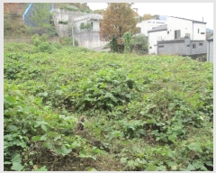  2024Ÿ40460    ȣ 573-27      ()