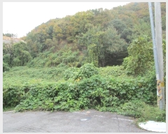  2024Ÿ40460    ȣ 573-27      ()