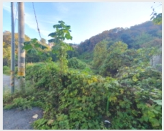  2024Ÿ40460    ȣ 573-27      ()