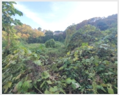  2024Ÿ40460    ȣ 573-27      ()