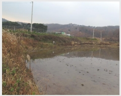  2024Ÿ��41388 ��� ��õ�� �𰡸� �곻�� 46-7      ����(����)���