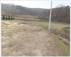  2024Ÿ��41388 ��� ��õ�� �𰡸� �곻�� 46-7      ����(����)���