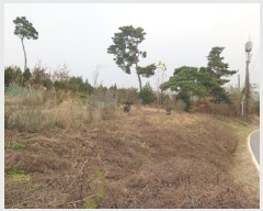  2024Ÿ��41388 ��� ��õ�� �𰡸� �곻�� 46-7      ����(����)���