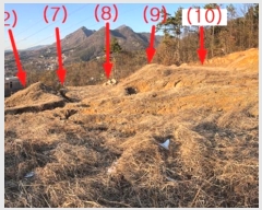  2024Ÿ��41739  �Ӿ߰��