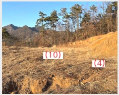  2024Ÿ��41739  �Ӿ߰��