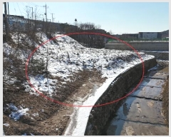  2024Ÿ��41807  �����