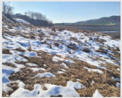  2024Ÿ��41807  �����