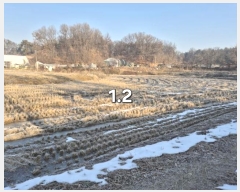  2024Ÿ��41890  ����