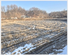  2024Ÿ��41890  ����