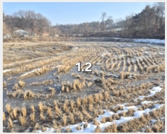  2024Ÿ��41890  ����