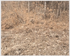  2024Ÿ��42374  �Ӿ߰��