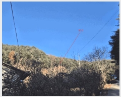  2024Ÿ��42374  �Ӿ߰��