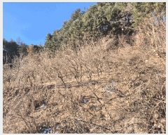  2024Ÿ��42374  �Ӿ߰��