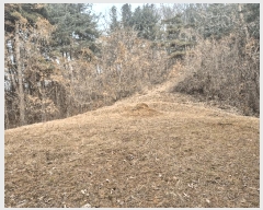  2024Ÿ��42374  �Ӿ߰��