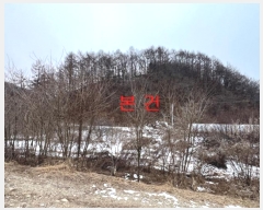  2024Ÿ��42558  �Ӿ߰��