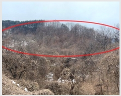  2024Ÿ��42558  �Ӿ߰��