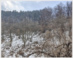  2024Ÿ��42558  �Ӿ߰��