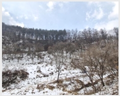  2024Ÿ��42558  �Ӿ߰��