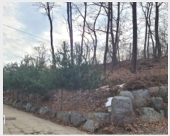  2024Ÿ��684 ��� ���� ������ ���︮ ��47-25      ����(�Ӿ�)���