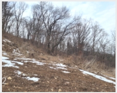  2024Ÿ��684 ��� ���� ������ ���︮ ��47-25      ����(�Ӿ�)���