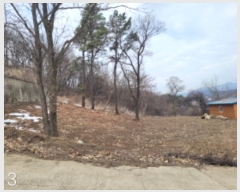  2024Ÿ��684 ��� ���� ������ ���︮ ��47-25      ����(�Ӿ�)���