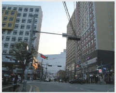  2024Ÿ��1151  �ܵ�(ȣ��)���