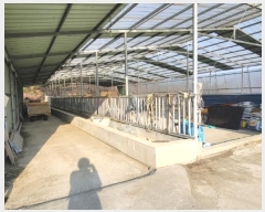  2024Ÿ1335   絿 ۸ 1134      ð