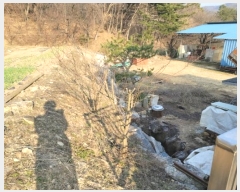  2024Ÿ1335   絿 ۸ 1134      ð