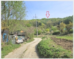  2024Ÿ��2024  �Ӿ߰��