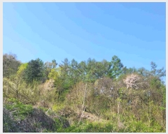  2024Ÿ��2024  �Ӿ߰��