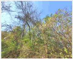  2024Ÿ��2024  �Ӿ߰��