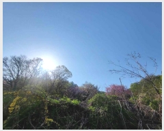  2024Ÿ��2024  �Ӿ߰��