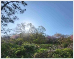  2024Ÿ��2024  �Ӿ߰��