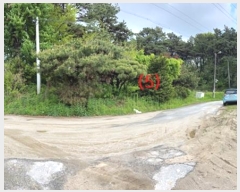  2024Ÿ��2031 ��� ���ֽ� ������ ���θ� 770-15      ����(�Ӿ�)���