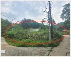  2024Ÿ2468    ȣ 1226-21      ,â