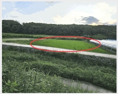  2024Ÿ��3874 ��� ���ֽ� ���� ��50-5       ����(�Ӿ�)���