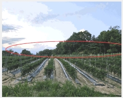  2024Ÿ��3874 ��� ���ֽ� ���� ��50-5       ����(�Ӿ�)���