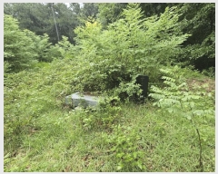  2024Ÿ��3874 ��� ���ֽ� ���� ��50-5       ����(�Ӿ�)���