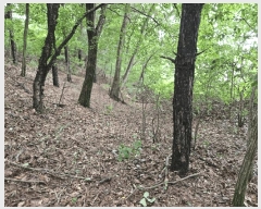  2024Ÿ��3874 ��� ���ֽ� ���� ��50-5       ����(�Ӿ�)���