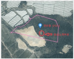  2024Ÿ��3874 ��� ���ֽ� ���� ��50-5       ����(�Ӿ�)���