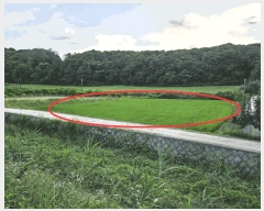  2024Ÿ��3874 ��� ���ֽ� ���� ��50-5       ����(�Ӿ�)���