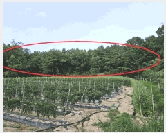  2024Ÿ��3874 ��� ���ֽ� ���� ��50-5       ����(�Ӿ�)���