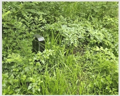  2024Ÿ��3874 ��� ���ֽ� ���� ��50-5       ����(�Ӿ�)���