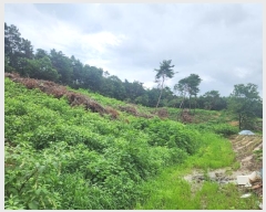  2024Ÿ3973     2-1      (Ӿ)