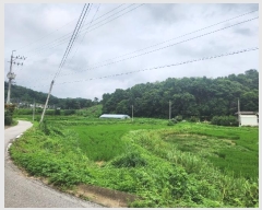  2024Ÿ3973     2-1      (Ӿ)