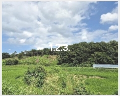  2024Ÿ3973     2-1      (Ӿ)