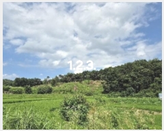  2024Ÿ3973     2-1      (Ӿ)