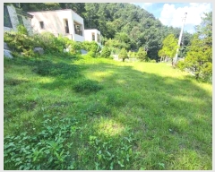  2024Ÿ��4075  ���ð��