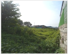  2024Ÿ��4259 ��� ��õ�� ����� ������ 495-7      ����(��1)���