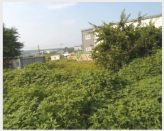  2024Ÿ��4259 ��� ��õ�� ����� ������ 495-7      ����(��1)���